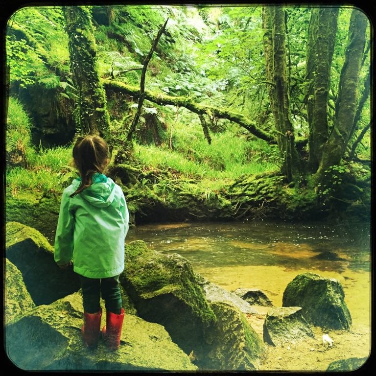 Golitha Falls - Dreaming