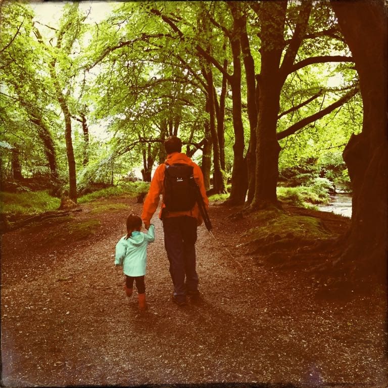 A Walk in Golitha Falls