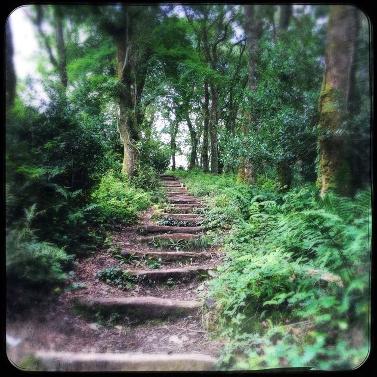 Carnglaze Caverns Cornwall - Secret Forest