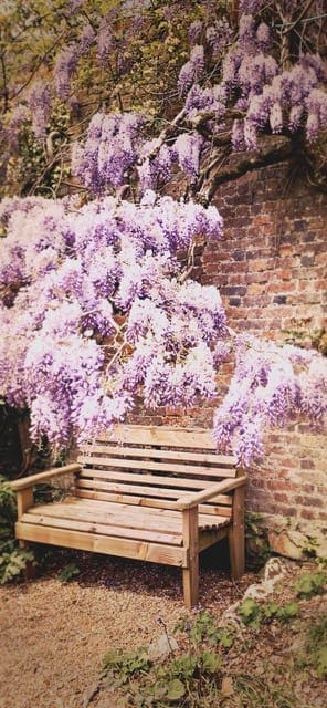 Enys Garden Cornwall England