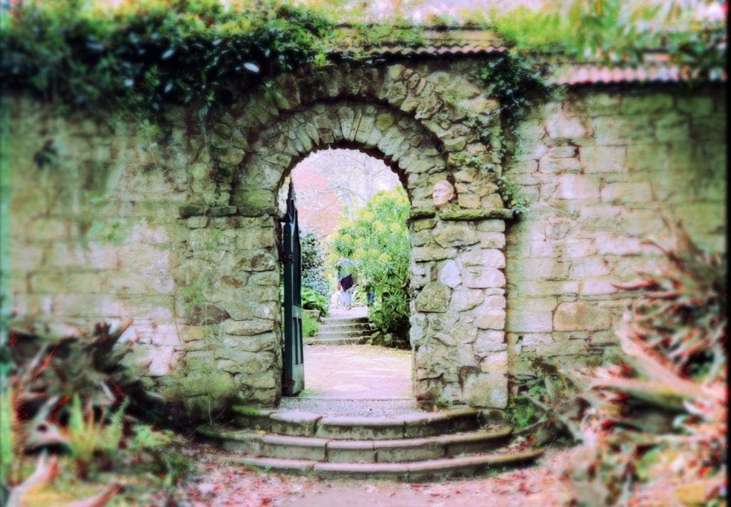 Enys Garden Cornwall